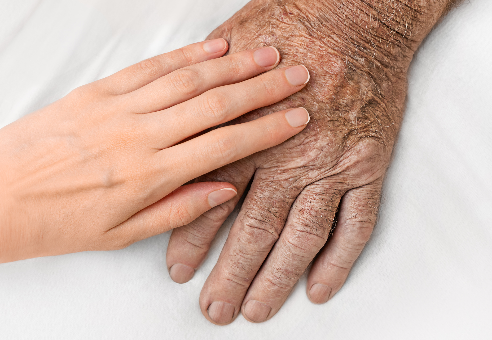 Elder Law